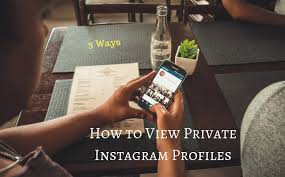   Private Instagram-Profile anzeigen
