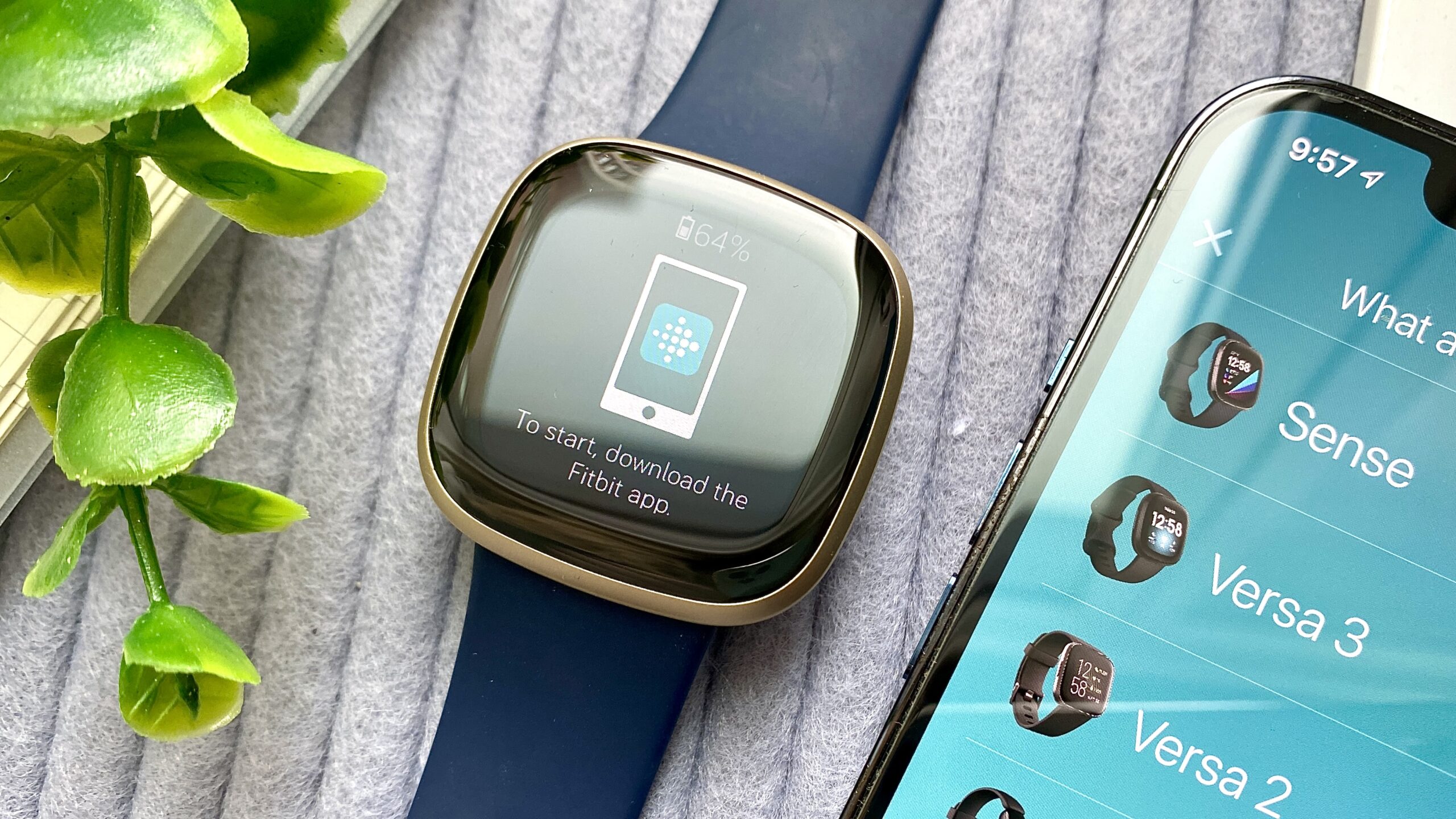 How to Set up and Use Fitbit Versa 3 TechyLoud